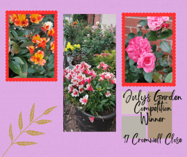 Julys Garden Competition Winner